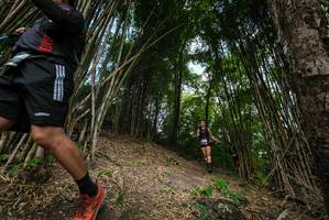 BIB: 
                            <button type="button" onclick="openModal(19395861)" class="btn btn-primary btn-sm float-right btn-popup" data-toggle="modal" data-target=".modal-high-quality">
                        <i class="fas fa-shopping-cart"></i> Add to Cart
                    </button>
                                            <button type="button" onclick="isThisMe(19395861, true)" class="btn btn-success btn-sm float-right btn-popup btn-isme hidden" data-toggle="tooltip" data-placement="bottom" title="นี่คือรูปของคุณใช่ไหม คลิกที่นี่เพื่อเอาเข้าอัลบั้ม">
                        <i class="fas fa-plus"></i> Add to album
                    </button>
                    <button type="button" onclick="isThisMe(19395861, false)" class="btn btn-warning btn-sm float-right btn-popup btn-isnotme hidden">
                        <i class="fas fa-ban"></i> Remove from album
                    </button>